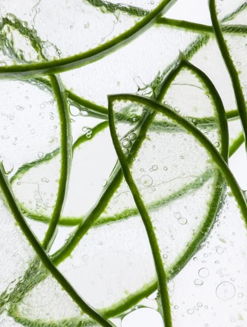 Anti-Aging Hydrogel Eye Patches | 7 Pairs - Aurielle